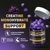 Nutravita Creatine Monohydrate Gummies for Men & Women-5g of Creatine