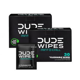 DUDE Wipes On-The-Go Flushable Wet Wipes - 30 Count, Pack of 2 - Mint Chill Extra-Large Individually Wrapped Wipes with Eucalyptus & Tea Tree Oil - Septic and Sewer Safe