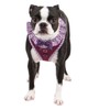 Puppia Vivien Harness, Small, Purple