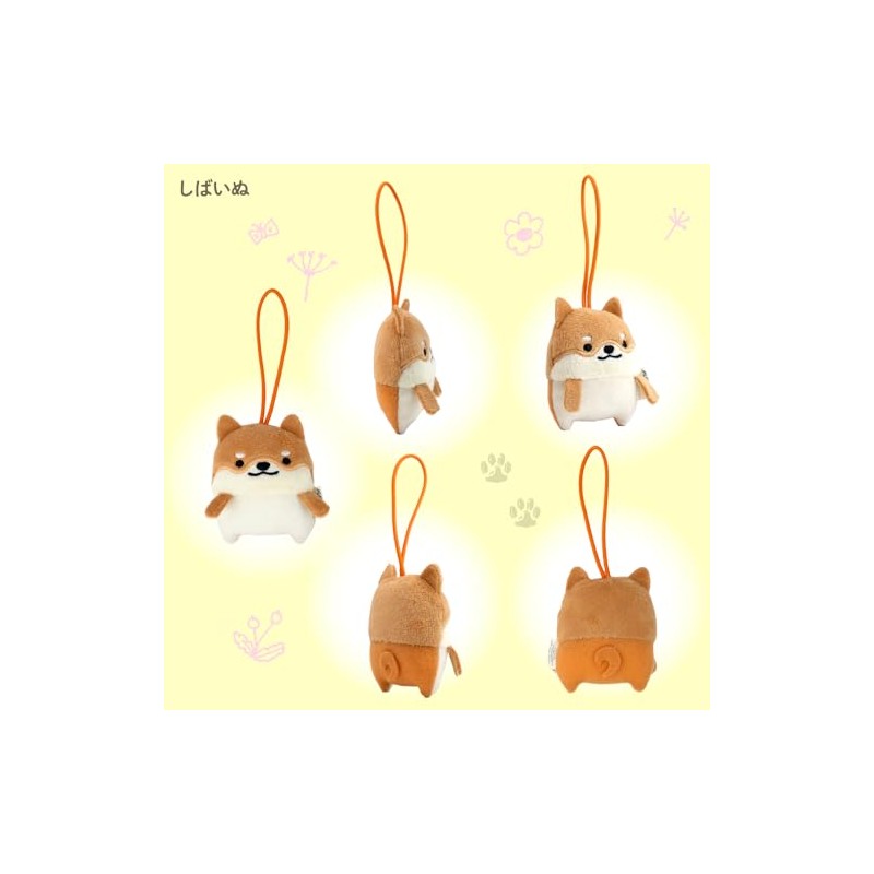 Morisaka Global Petamon Mascot, Shibainu, 2.2 x 1.0 x 2.6