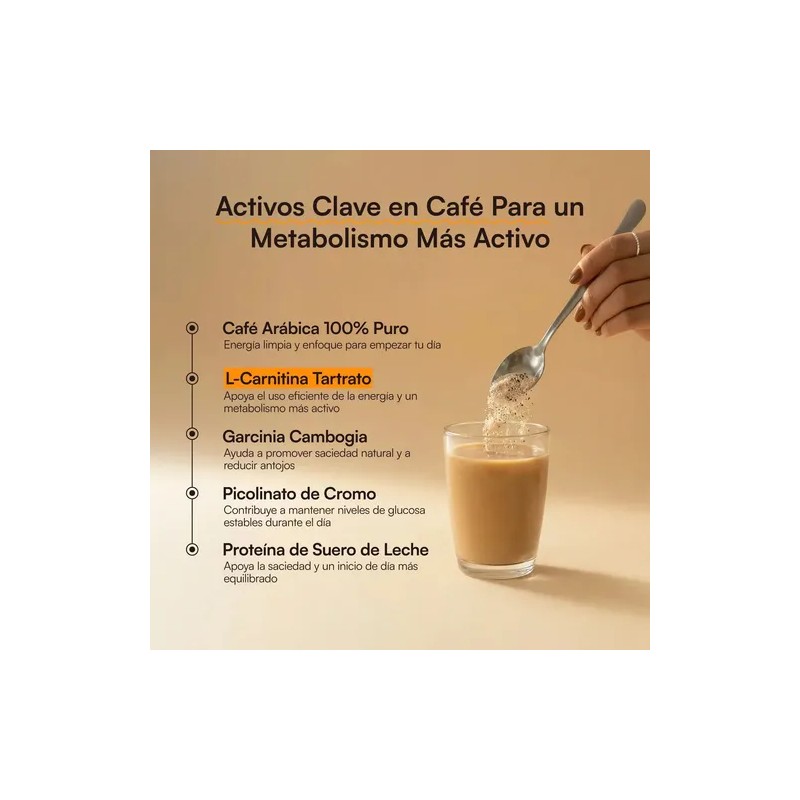 Zesty Metabólica Protein Coffee Café Arábica 100% Puro Cafe Latte