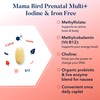 Best Nest Wellness Mama Bird Prenatal Vitamin Iron Free, No
