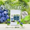 【残留農薬検査済】ブルーベリー葉 粉末 10g パウダー ポリフェノール アイケア 宮崎県産 くにさと35号 添加物不使用