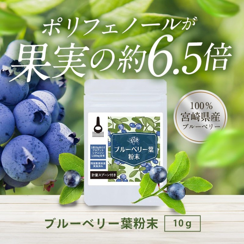【残留農薬検査済】ブルーベリー葉 粉末 10g パウダー ポリフェノール アイケア 宮崎県産 くにさと35号 添加物不使用