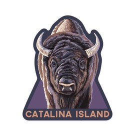 Die Cut Sticker Catalina Island, California, Bison Up Close, Contour Vinyl Sticker 3 to 6 inches, (Waterproof Decal for Cars, Water Bottles, Laptops, Coolers), Large