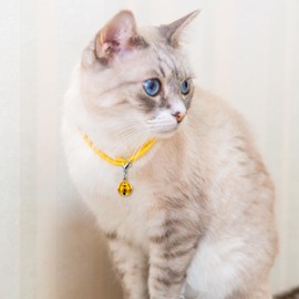 Qulkws 20 Piece Pet Bells for Cat Collars Small Metal Round Dog Collar Bells with Clasps Dog Collar Charms Small Pet Pendant Accessories Christmas Decoration Bell(Mixed Color)