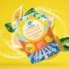 LIFE KIRINN Garbage Disposer Freshener,Sink Disposal Odor Eliminator,50 Count Lemon