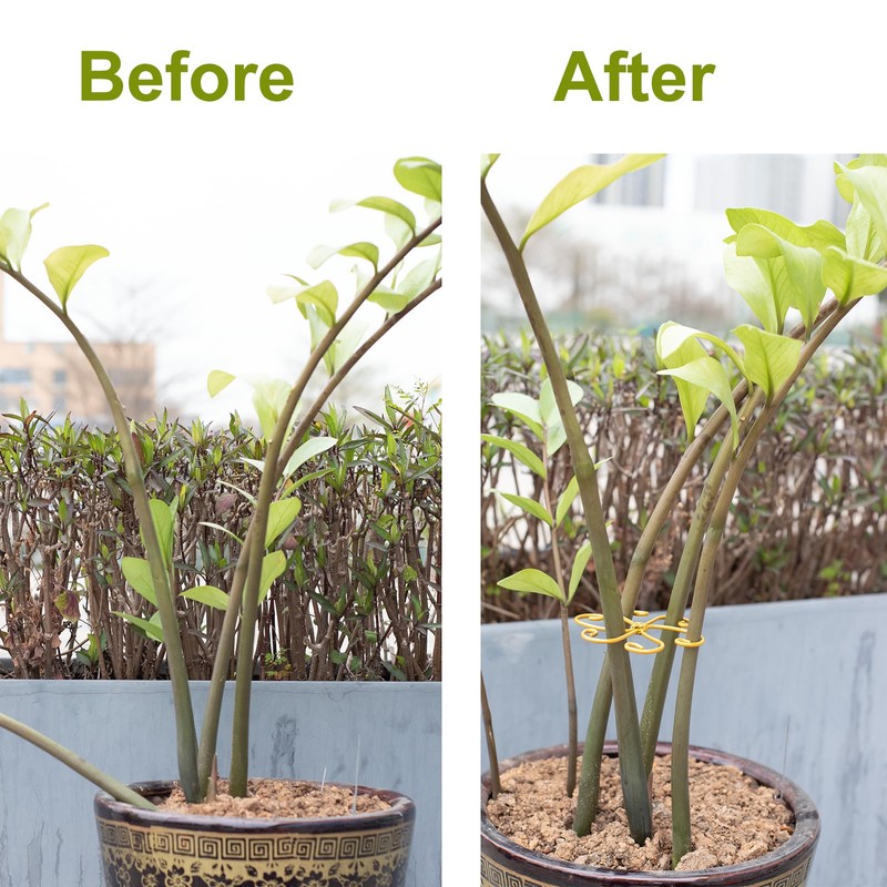 6pcs Plant Stem Support, Monstera Plant Support,Propagated Plant Holders,Plant Stakes