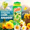 Gain Fireworks In-Wash Scent Booster Beads, Original, 24 oz, Laundry