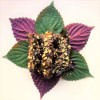 TomorrowSeeds Vietnamese Perilla (Shiso) Seeds | La Tía Tô Asian
