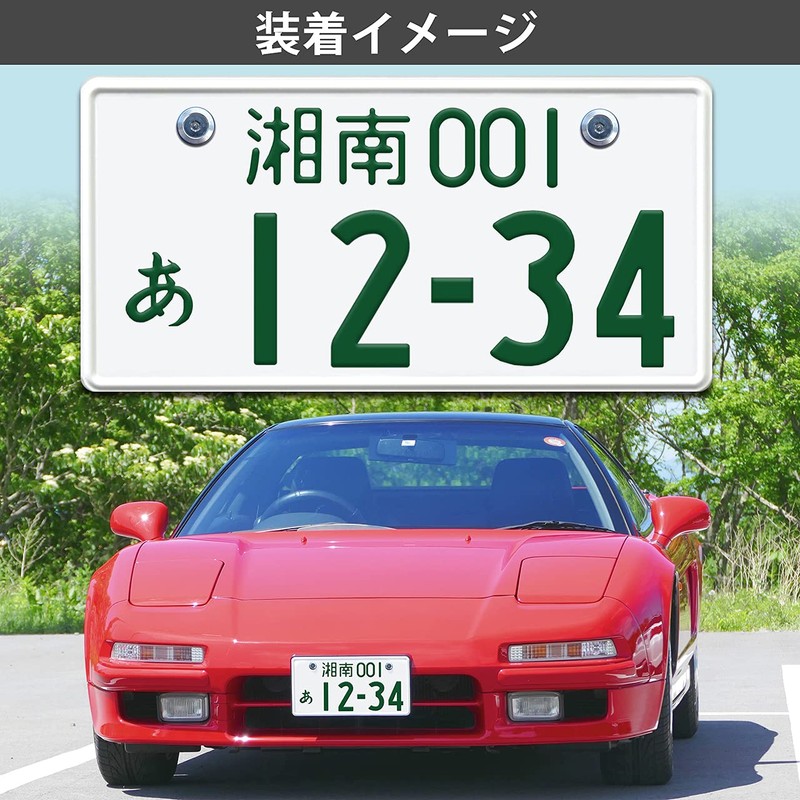 EVOLVERACING Anti-Theft Bolt Set for License Plate Specific Vehicle Inspection