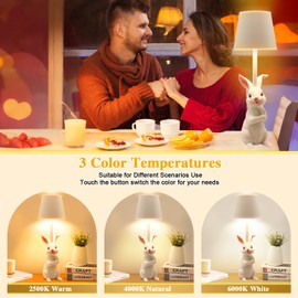 TYNLED Rabbit Lamp Birthday Gifts for Women, 3 Color Dimmable Nightstand Lamp Beside Table Lamp Touch Control Lamp with USB C Charging Port Battery Animal Lamp for Bedroom Dining Room Office Dorm