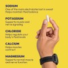 SaltStick - Cápsulas de Electrolitos para Hidratación y Recuperación, Sin