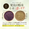 【残留農薬検査済】ブルーベリー葉 粉末 10g パウダー ポリフェノール アイケア 宮崎県産 くにさと35号 添加物不使用