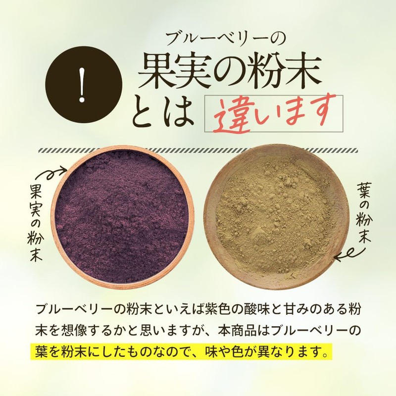 【残留農薬検査済】ブルーベリー葉 粉末 10g パウダー ポリフェノール アイケア 宮崎県産 くにさと35号 添加物不使用