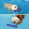Dog Toy, Swimming Toy for Dogs, Water Interactive Dog Toy,