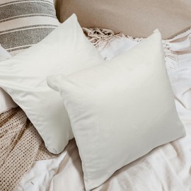 Betadistor Set of 2 Soft Velvet Decorative Cushion Covers Luxury Style Throw Pillow Cases European Pillow Shell for Sofa Bedroom Square White 18x18 inch, 45x45 cm, White, 516-0332