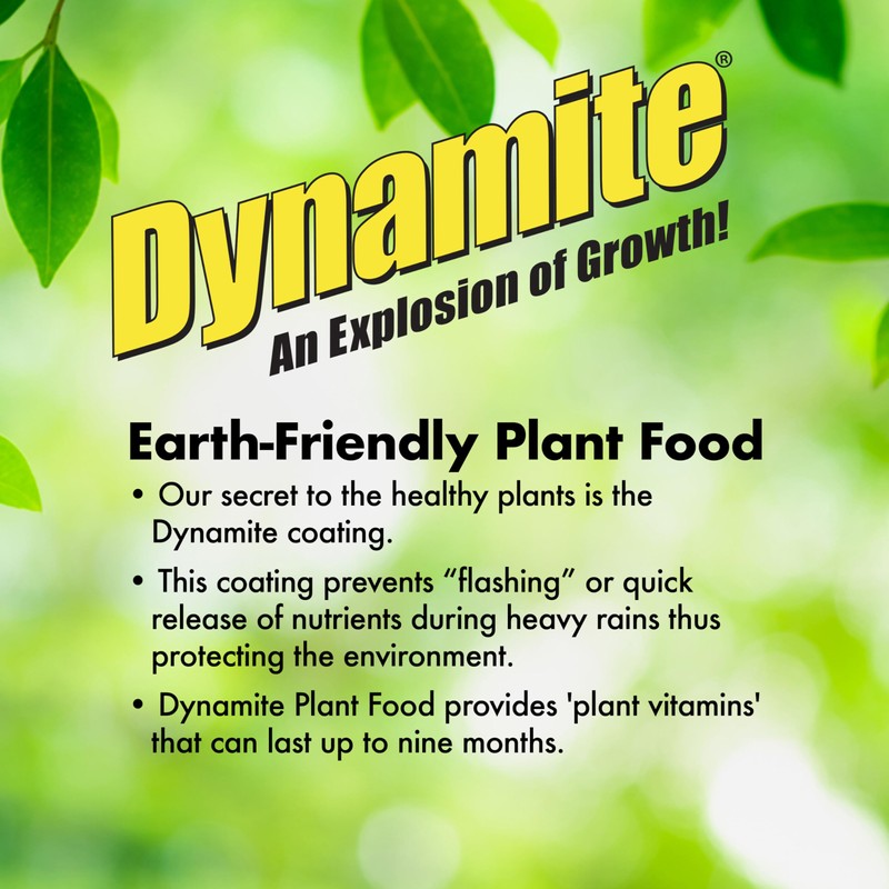 Dynamite Complete Plant Food Flower & Vegetable1 lb