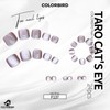 COLORBIRD Foot Nail Tips, 24 Pieces, Pink, Magnetic Nails, Nail