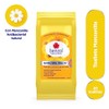 Benzal Toallets, Toallitas Humedas Íntimas, Manzanilla, Antibacterial, Paquete De 20