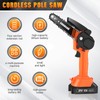 2-in-1 Cordless Pole Saw & Mini Chainsaw, Brushless Electric Pole