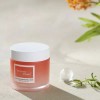 Neolji [니얼지](NEERG) 오늘도 맑음 비타민 크림 80ml 보습 미백 기미잡티