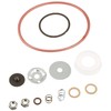 Bon Tool Chapin 6-4646 Xtreme Repair Kit for Chapin Xtreme