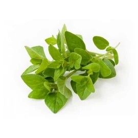 Aceite de Orégano 100% Orgánico grado alimenticio 30ml