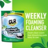 CLR Brands Garbage Disposal Cleaner and Deodorizer Pods, 20 Count,