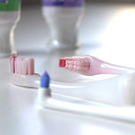 GC Dental Prinia Tape Float Brush, Pack of 2, Pink