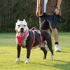 Huntboo Escape Proof Dog Harness, Escape Artist Harness, Reflective Harness