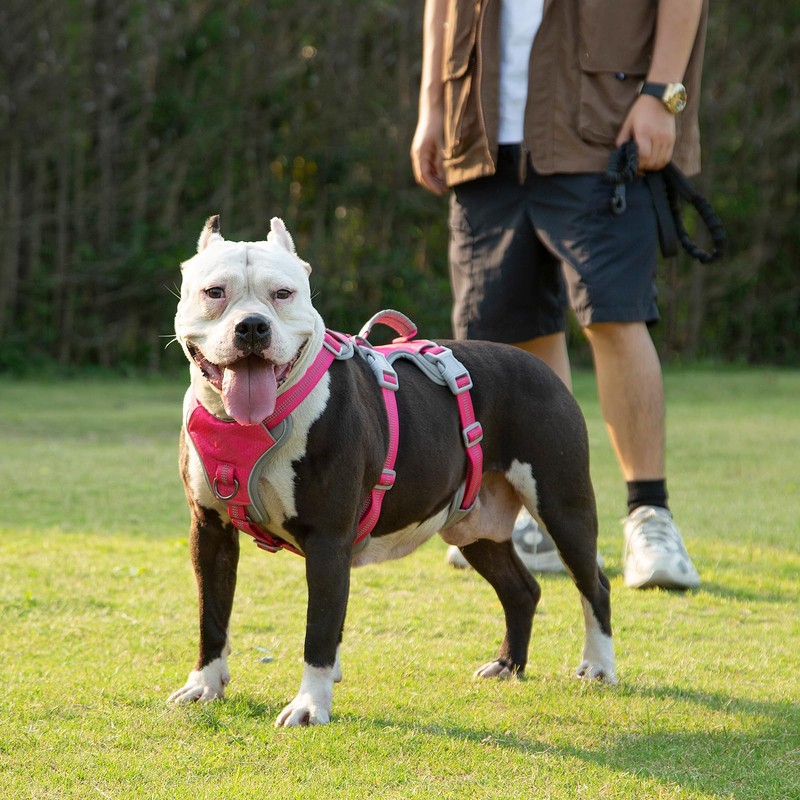Huntboo Escape Proof Dog Harness, Escape Artist Harness, Reflective Harness