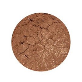 EARTH LAB COSMETICS Multi-Purpose Eye Powder Champagne