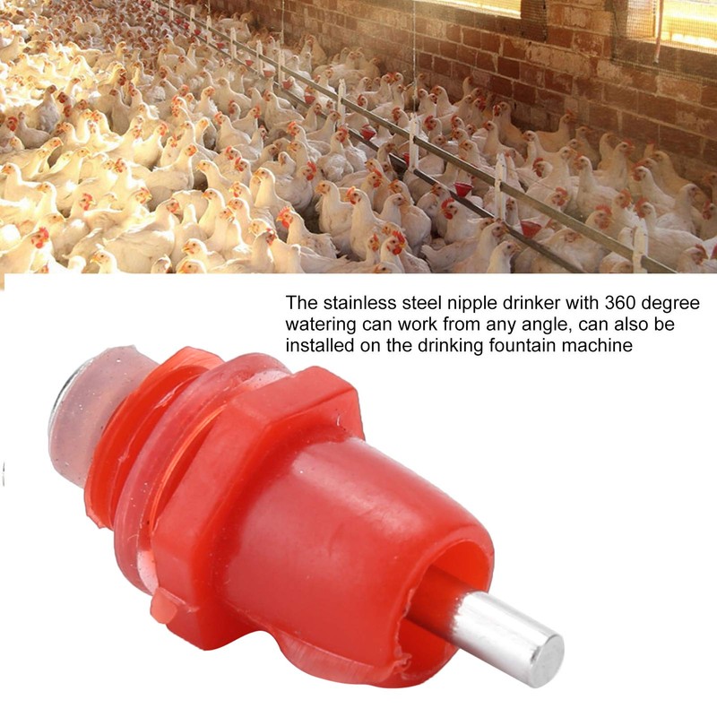 QANYEGN 100Pcs Poultry Screw Style Nippler Waterer, Chicken Nippler Drinker