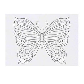 'Butterfly' Temporary Tattoo - Water Resistant, Skin-Safe, Non-Toxic Transfer (TO00082069)