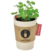 Seishin Pottery GD-98502 All Year Round Home Garden Easy Cultivation