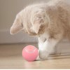 Interactive Cat Ball Toy, Smart Cat Toy with LED Lights(Upgrade