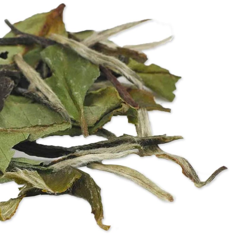 TIAN HU SHAN Special Grade Organic White Tea Loose Leaf