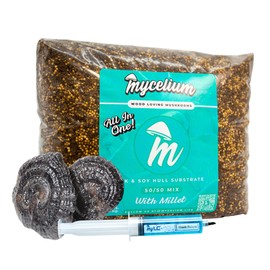 Mycelium’s Black Reishi Gourmet Mushroom Kit | 5LBS Oak & Soy Hull with Millet Blend | 20ML Liquid Culture Syringe | All-in-One Complete Cultivation Kit | Pre-Sterilized - Home Growing Made Easy