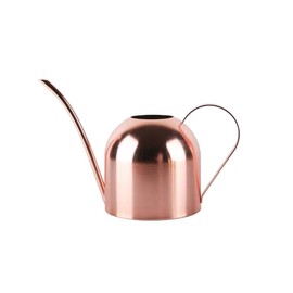 YISSSN Small Watering Can for Indoor Plants, 15oz/450ml Stainless Steel Long Spout Watering Can for Succulents, Herbs (Rose Gold)