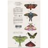 Yuya - Republic Cosmetics Set de Sombras "Metamorfosis" con 18