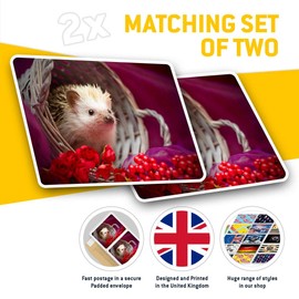 Rectangle Stickers (Set of 2) 10cm - Cute Baby Hedgehog Pygmy Albino Fun Decals for Laptops,Tablets,Luggage,Scrap Booking,Fridges, #14360
