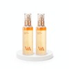 V&A Beauty Antioxidant Radiance Mist 100mL Double Plan / 브이앤에이뷰티 안티옥시던트 래디언스 미스트100mL 더블기획