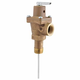 Temperature and Pressure Relief Valve (T&P)