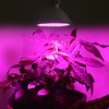 200LED Plant Light Single Head LED Plants Growing Light for