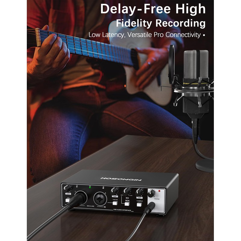 HOSONGIN USB Audio Interface for PC and Mac Recording Music,