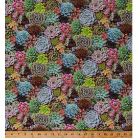 Elizabeth Studios Cotton Succulents Plants Cactus Cacti Landscape Fabric Print by the Yard D650.14