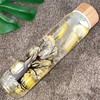 Ferexer 32 oz Glass Water Bottle with Straw, Borosilicate Glass