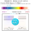 Eight Tokyo Blue Light Reduction Glasses, Clear Lenses, Sunglasses, Lenses