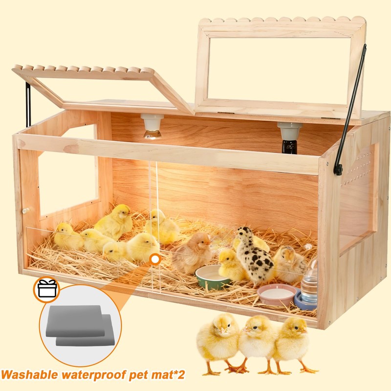 Chicken Brooder Box, Brooder Box for Chicks & Quail, Large